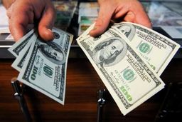 دستگیری شبانه دلار فروشان در مشهد