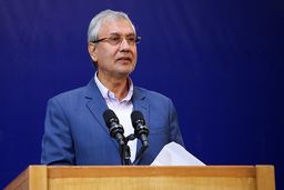 رمزگشایی سخنگوی دولت از برکناری زودهنگام میعاد صالحی