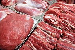 استمرار کاهش قیمت دام در بازار/ کمبودی در عرضه گوشت وجود ندارد