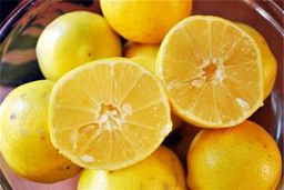 موادغذایی که بهتر از آنتی بیوتیک هستند