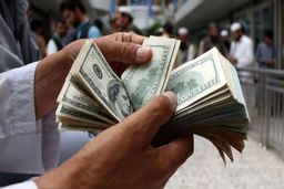 ۱۰ شغل عجیب اما پردرآمد جهان را بشناسید + تصاویر