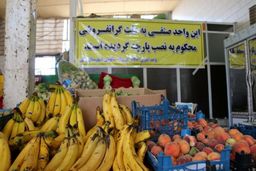 نمره قبولی «خدمات» در خودداری از گران‌فروشی بنزینی