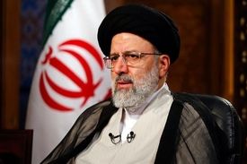 کدام شاخه را می‌برد؟