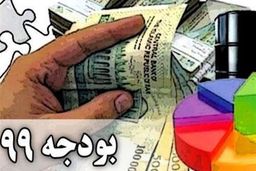 نظر زنگنه در مورد لایحه بودجه ۹۹
