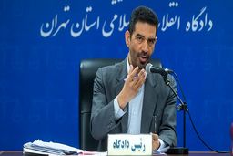 قاضی مسعودی: برای رسیدگی کیفری به سیاست‌گذاری‌های غلط باید راه حل‌ اتخاذ کرد