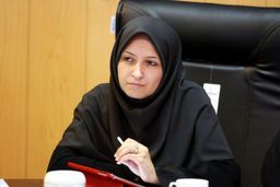 مدیر کل محیط زیست شهرداری تهران: احتمالا گوگرد منشاء بوی نامطبوع تهران است