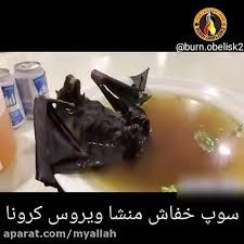 چطور «خفاش، موش، سوسک، سگ، قورباغه» وارد رژیم غذایی چینیها شد؟ / پای ژاپنیها در میان است؟
